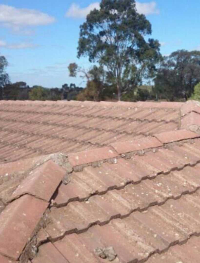 Ridge Capping in Poor State