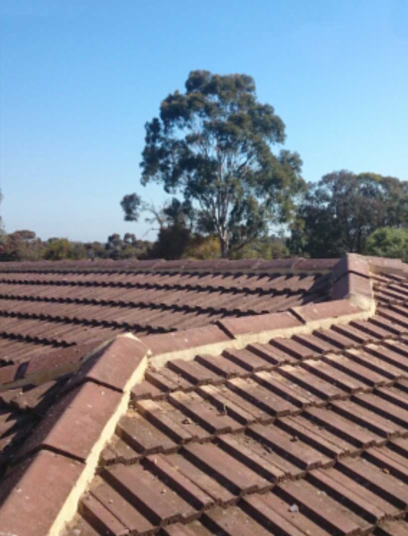 Pressure Cleaning